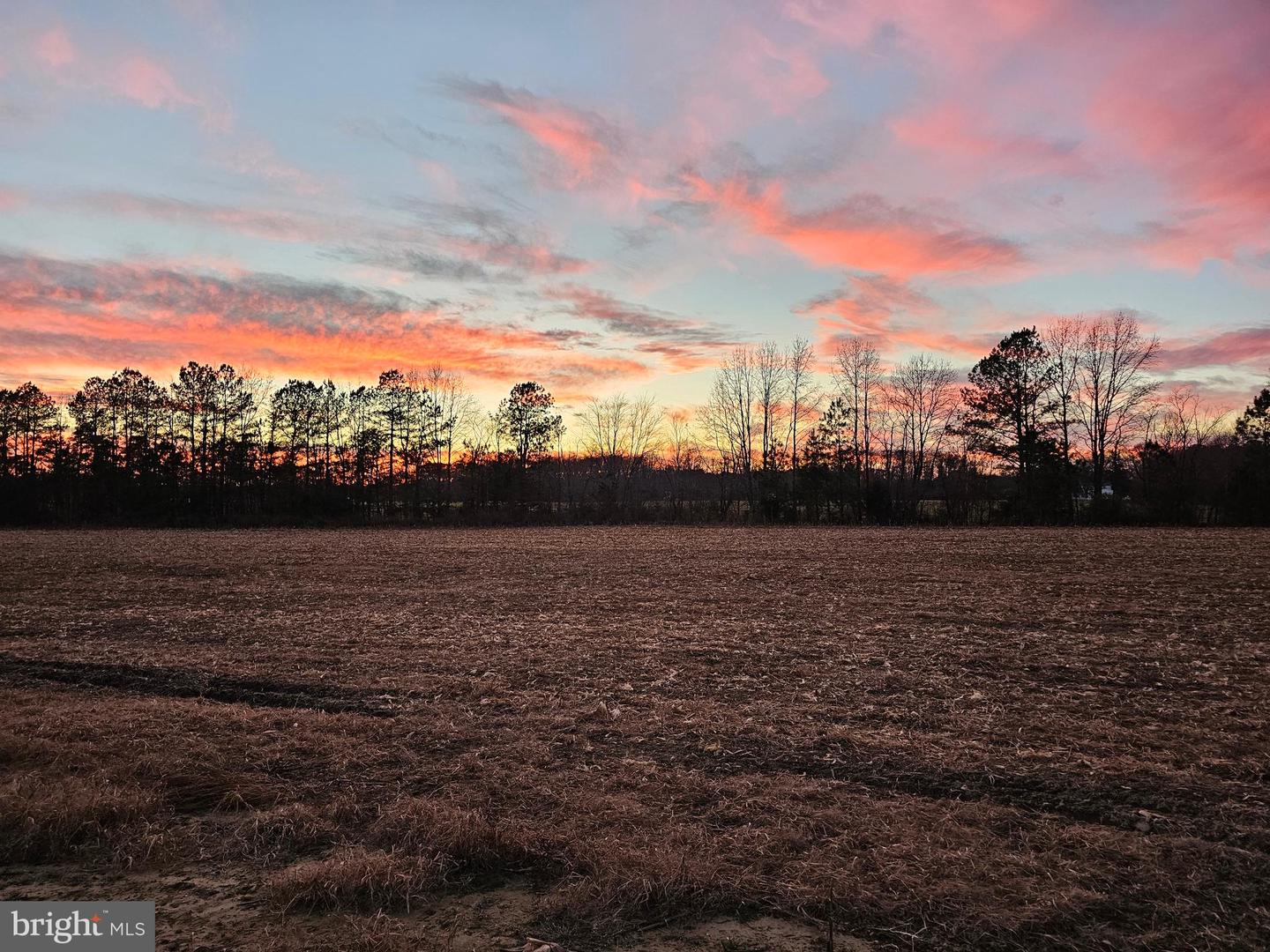 Lot 8a Song Sparrow Cir Property Photo 52