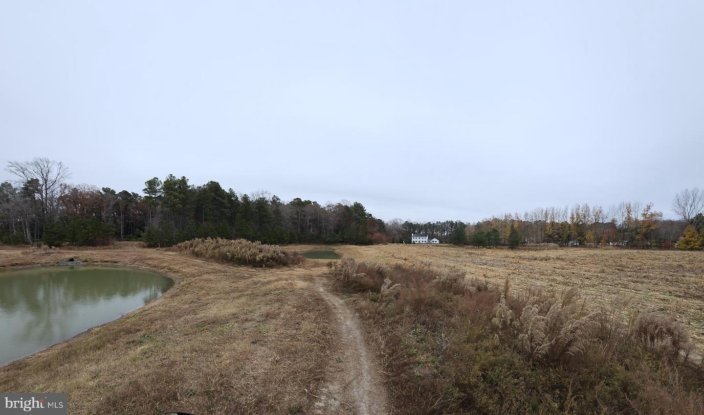 Lot 8a Song Sparrow Cir Property Photo 56