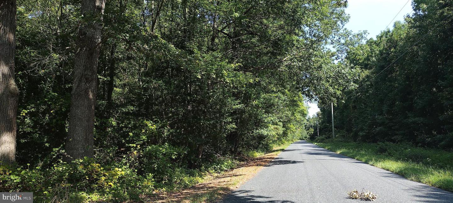 0 Jesterville Rd Property Photo