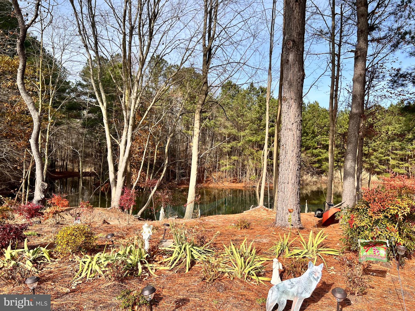 210 Ringgold Rd Property Photo 4