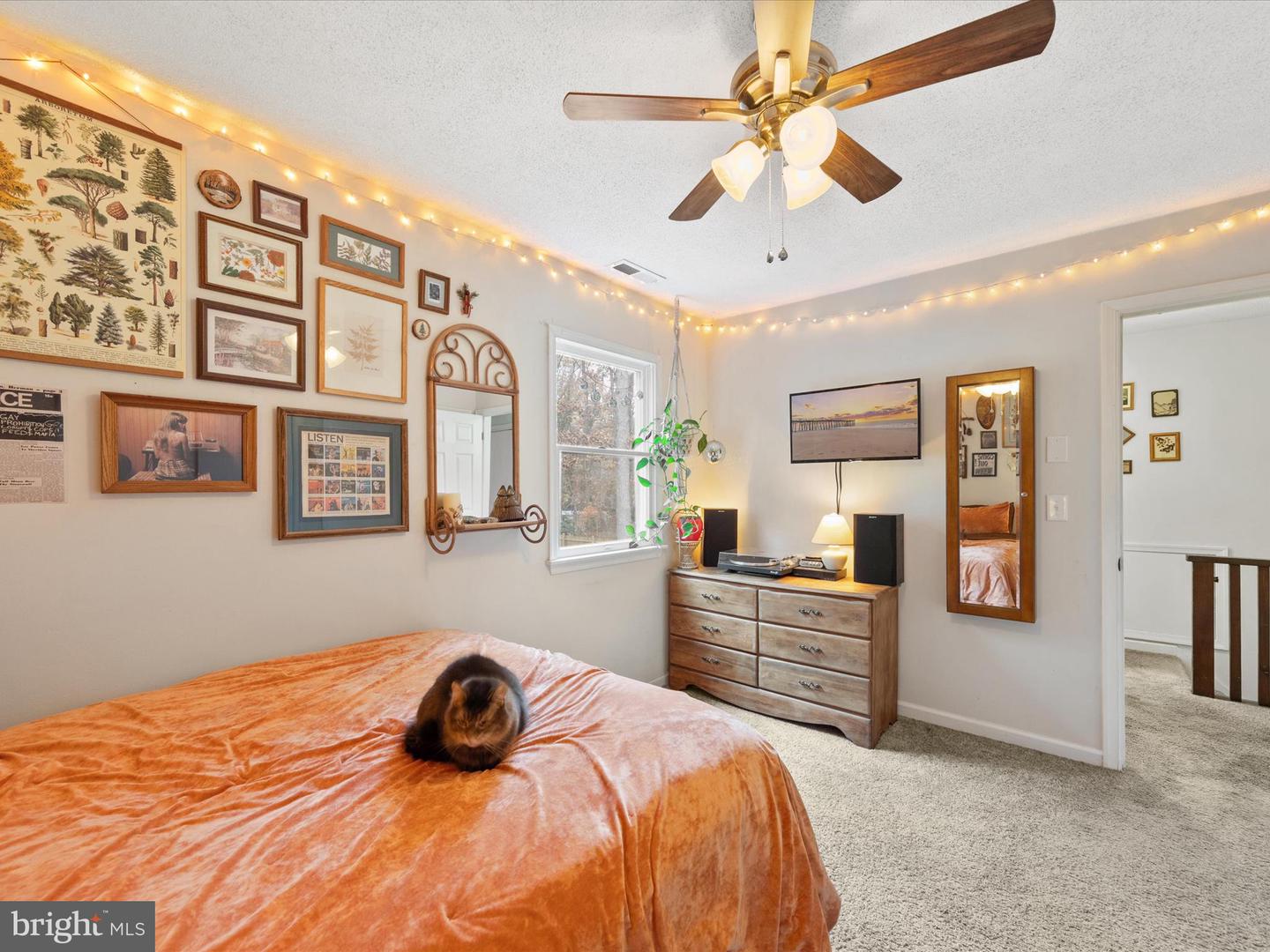 5892 Kirknewton Dr Property Photo 23