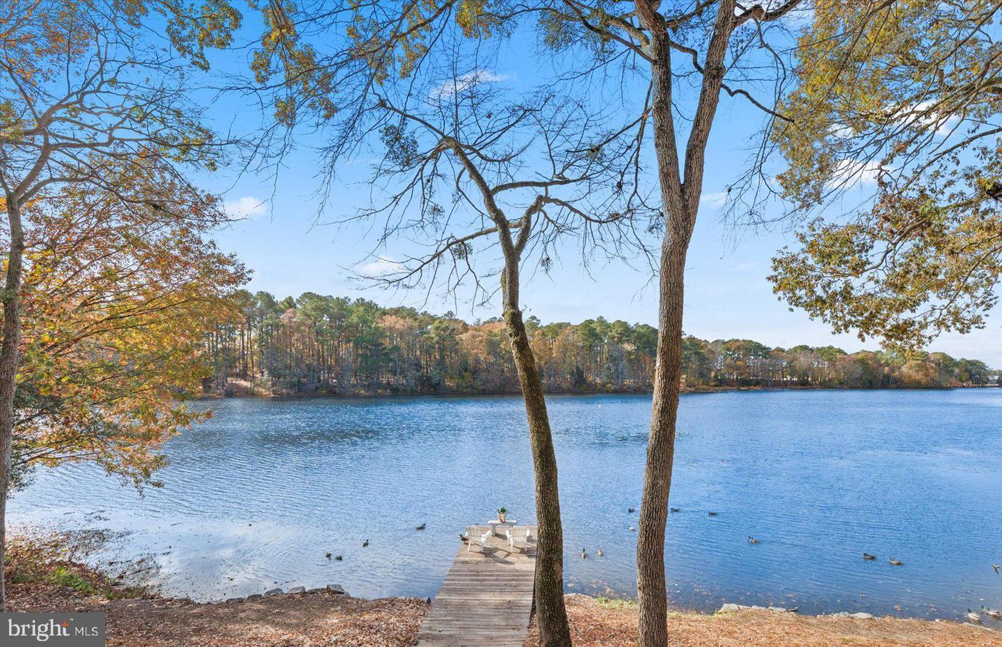 1016 Schumaker Woods Rd Property Photo 69