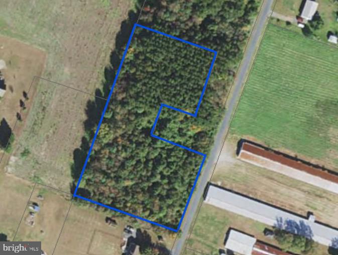 0 HAMMOND SCHOOL RD Property Photo 1