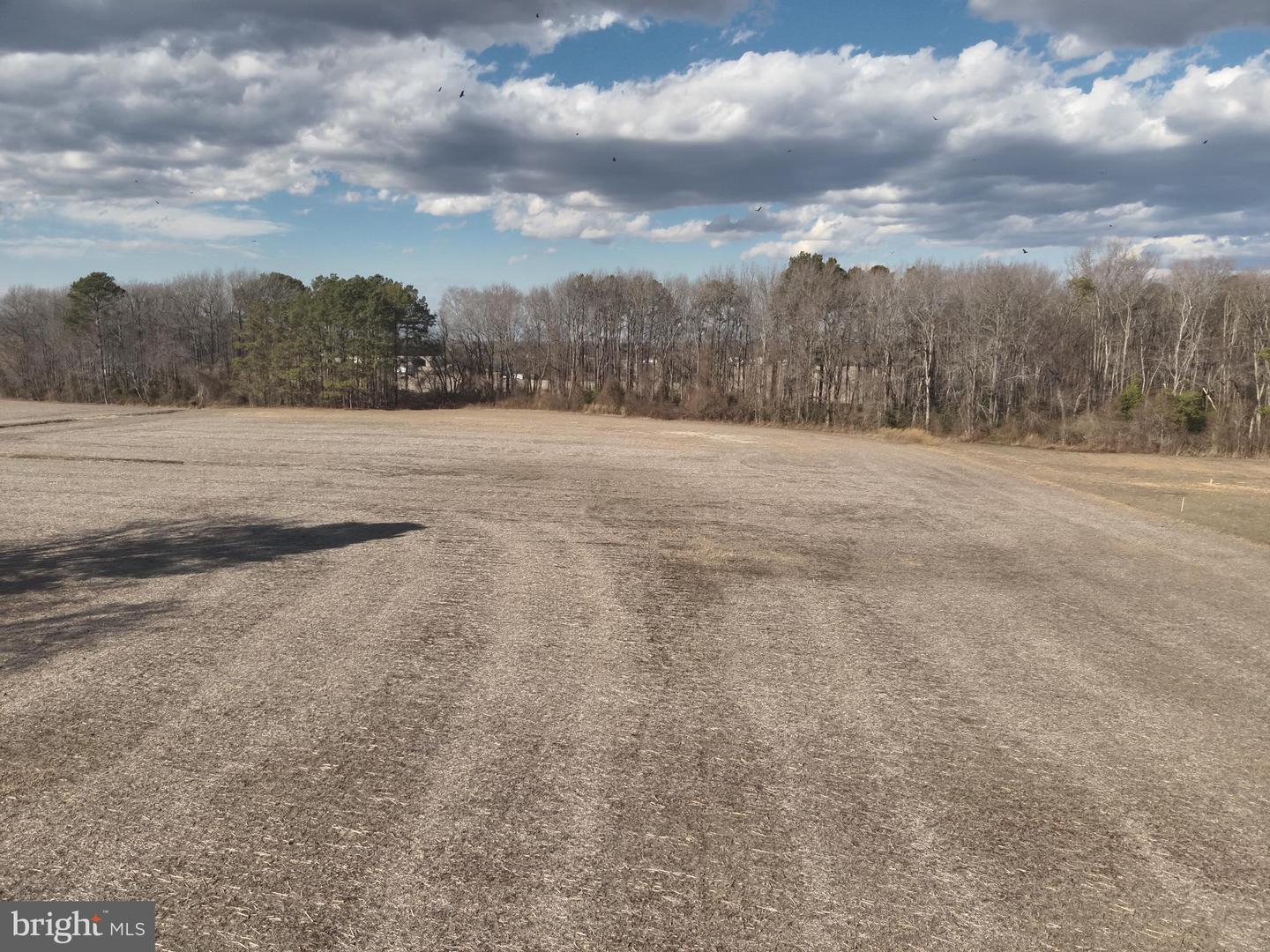 Casher Wells Rd Property Photo 22