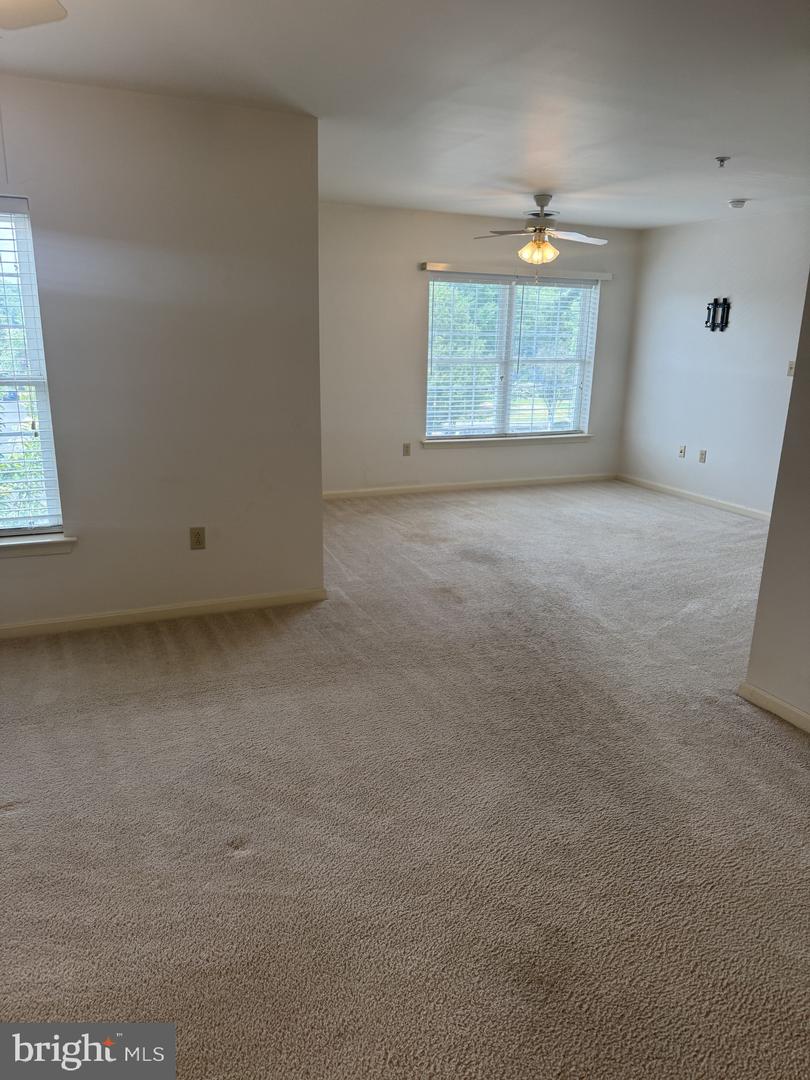 1103 S Schumaker Dr #c-300 Property Photo 6