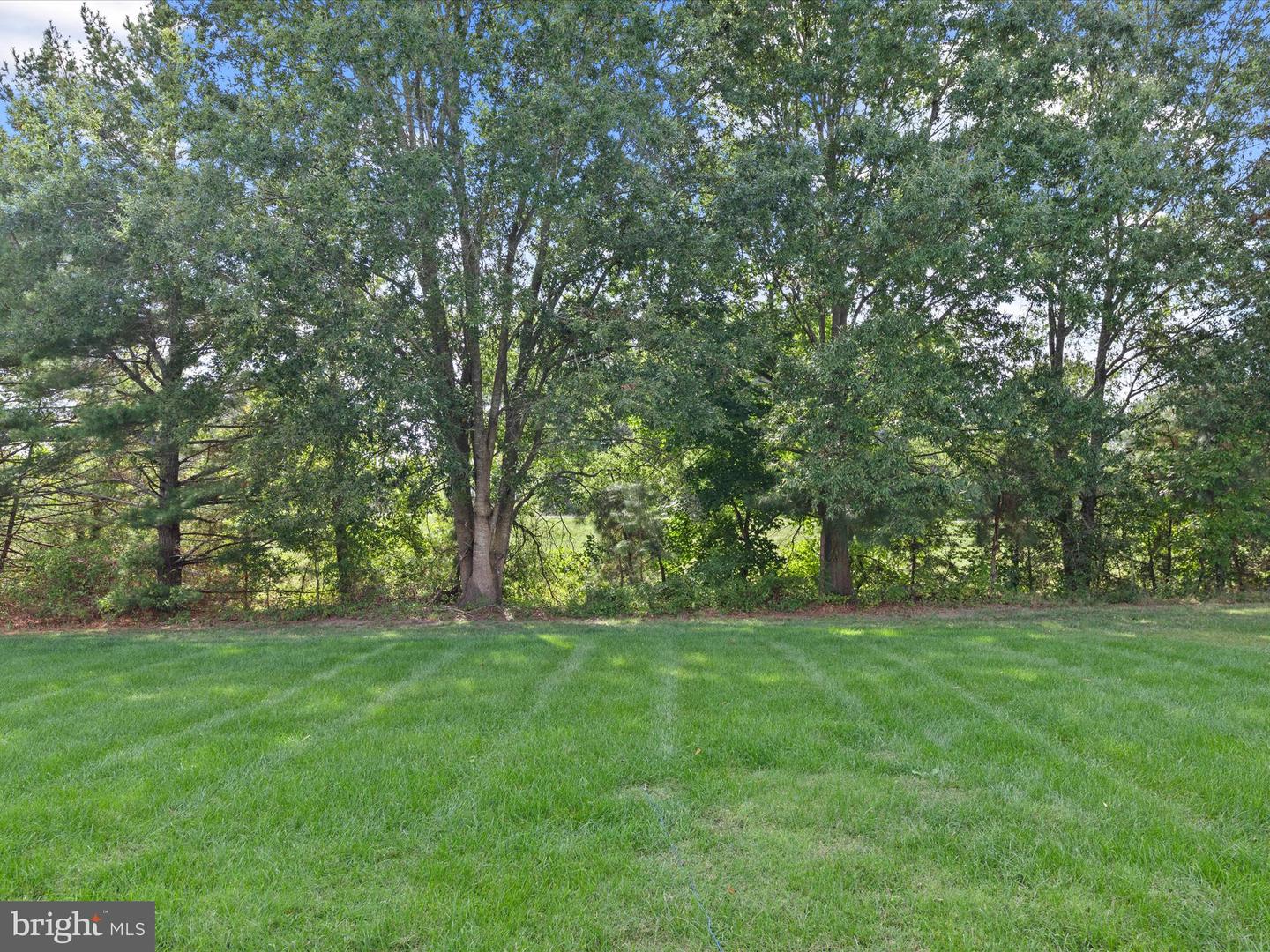 424 Lena Ln Property Photo 46
