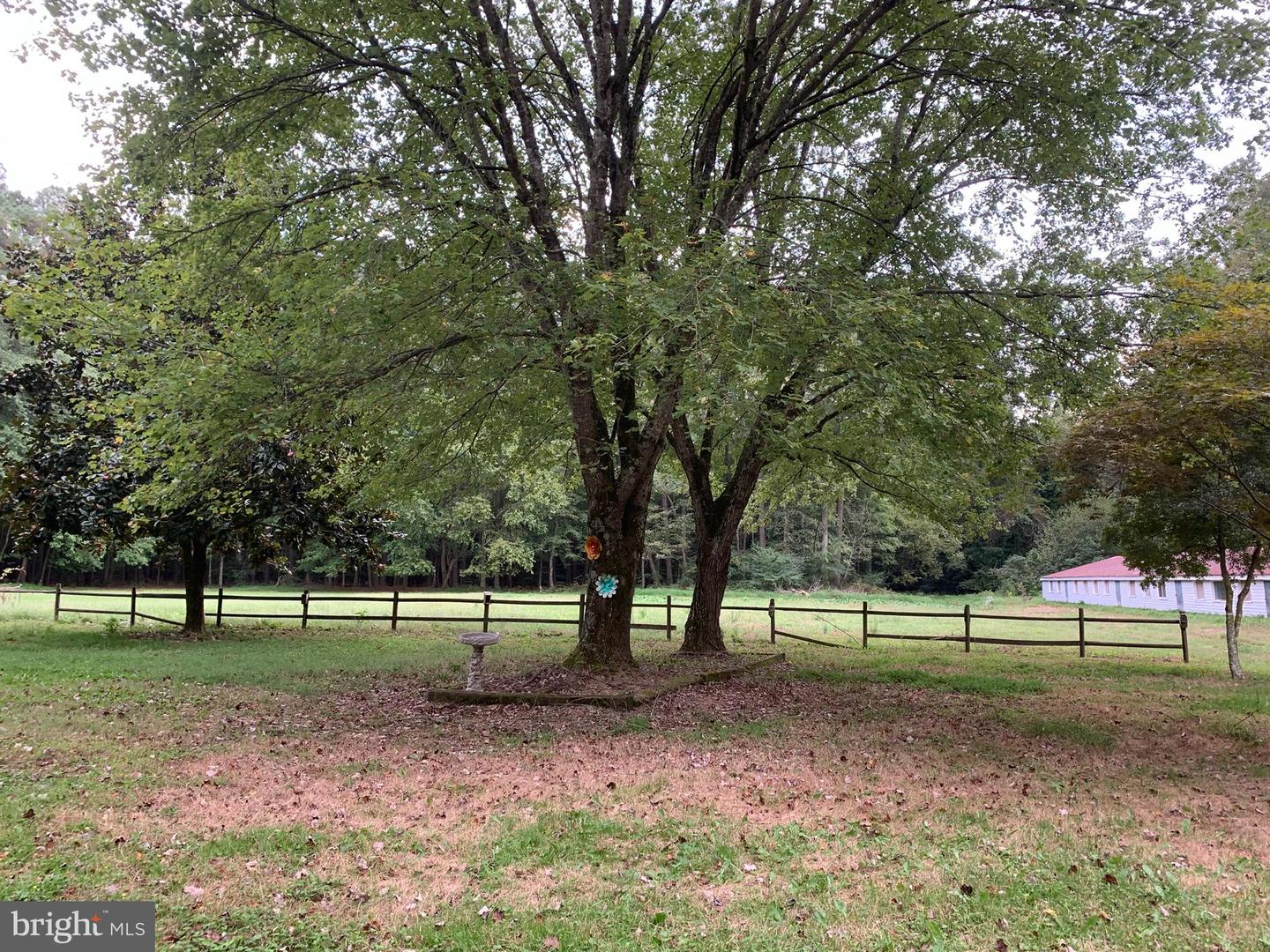 31105 Stevens Ln Property Photo 11