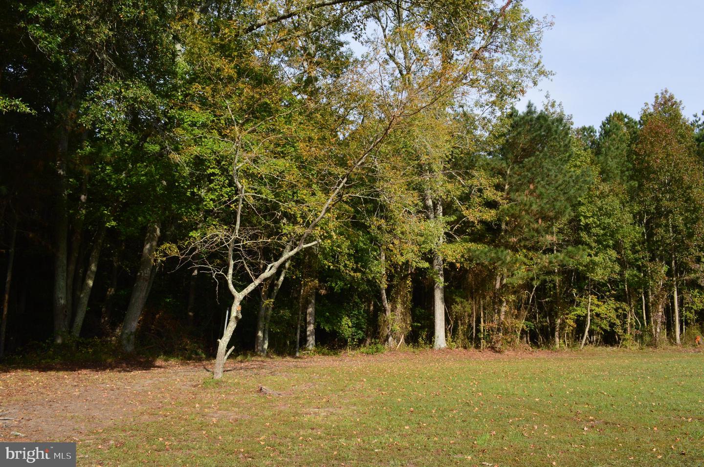 0 Yacht Club Rd Property Photo 5