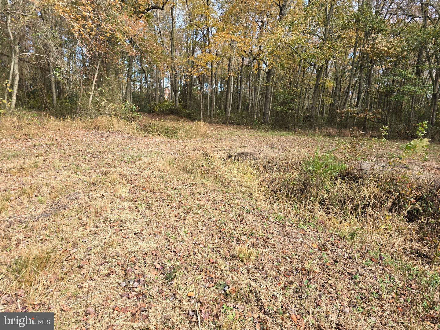 0 Richardson Rd Property Photo 13