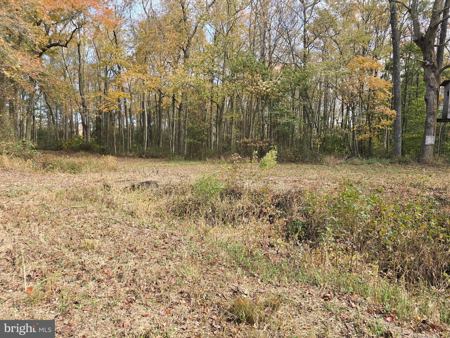 0 Richardson Rd Property Photo 14