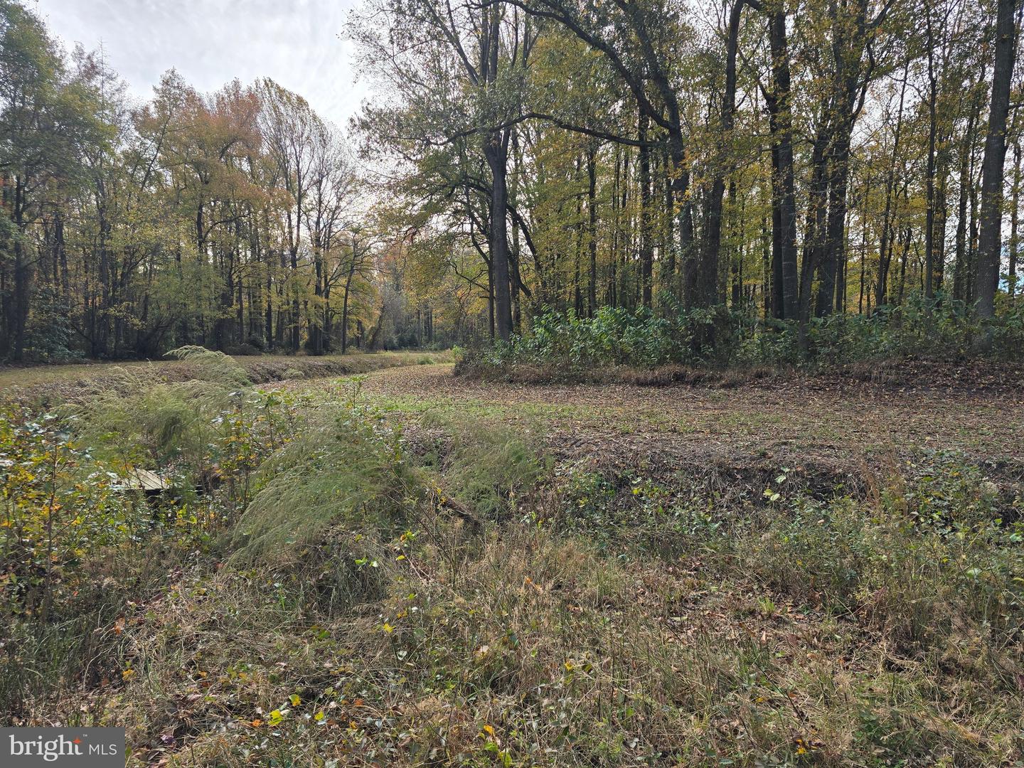 0 Richardson Rd Property Photo 15