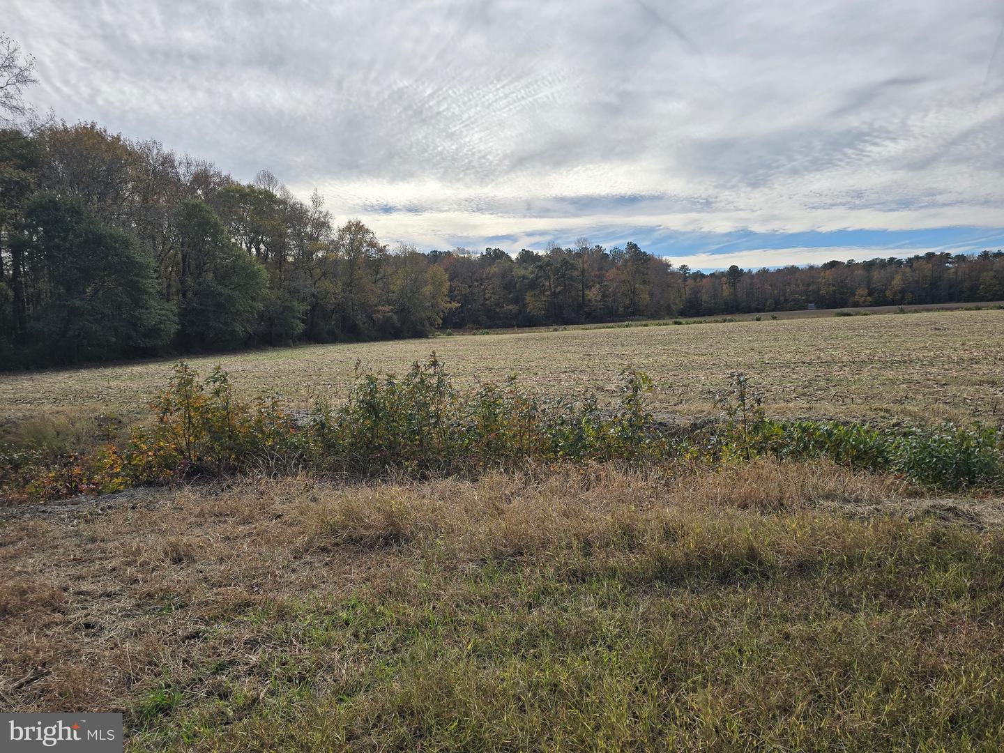0 Richardson Rd Property Photo 17