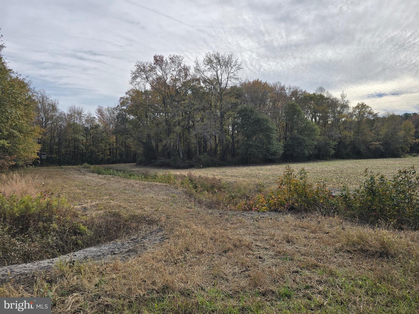 0 Richardson Rd Property Photo 18