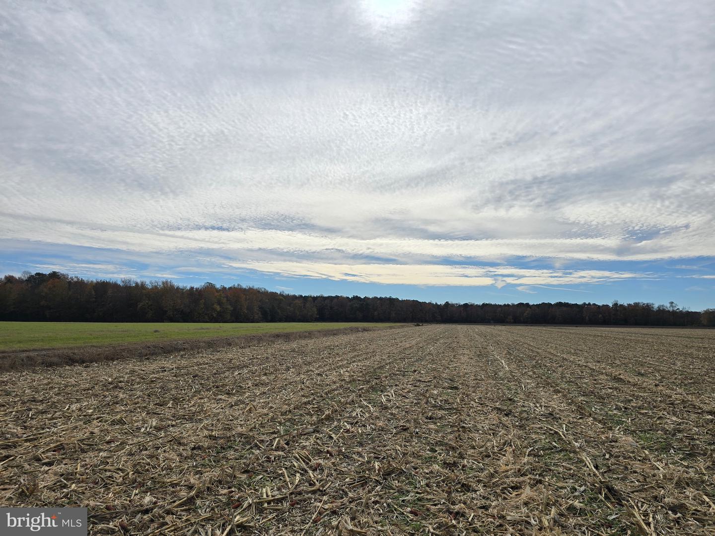 0 Richardson Rd Property Photo 30
