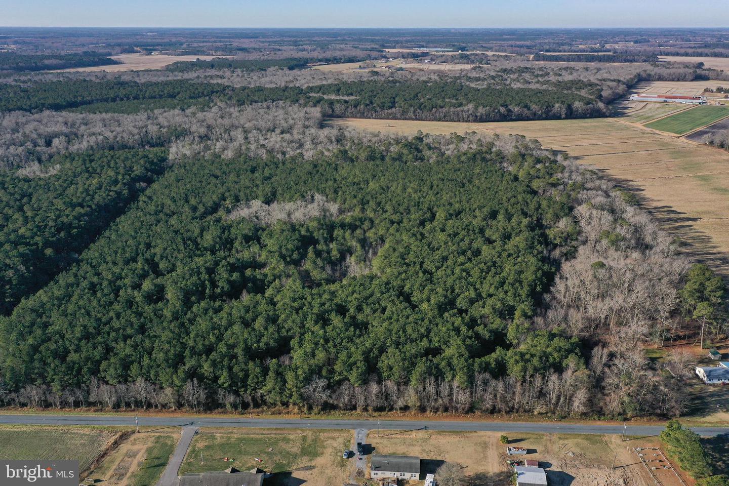 0 Bent Pine Rd Property Photo 1