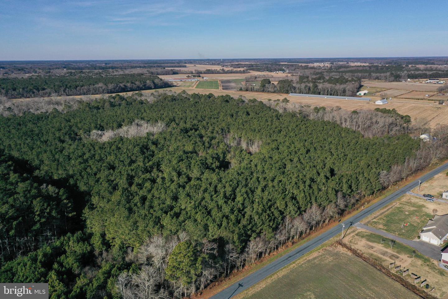 0 Bent Pine Rd Property Photo 2