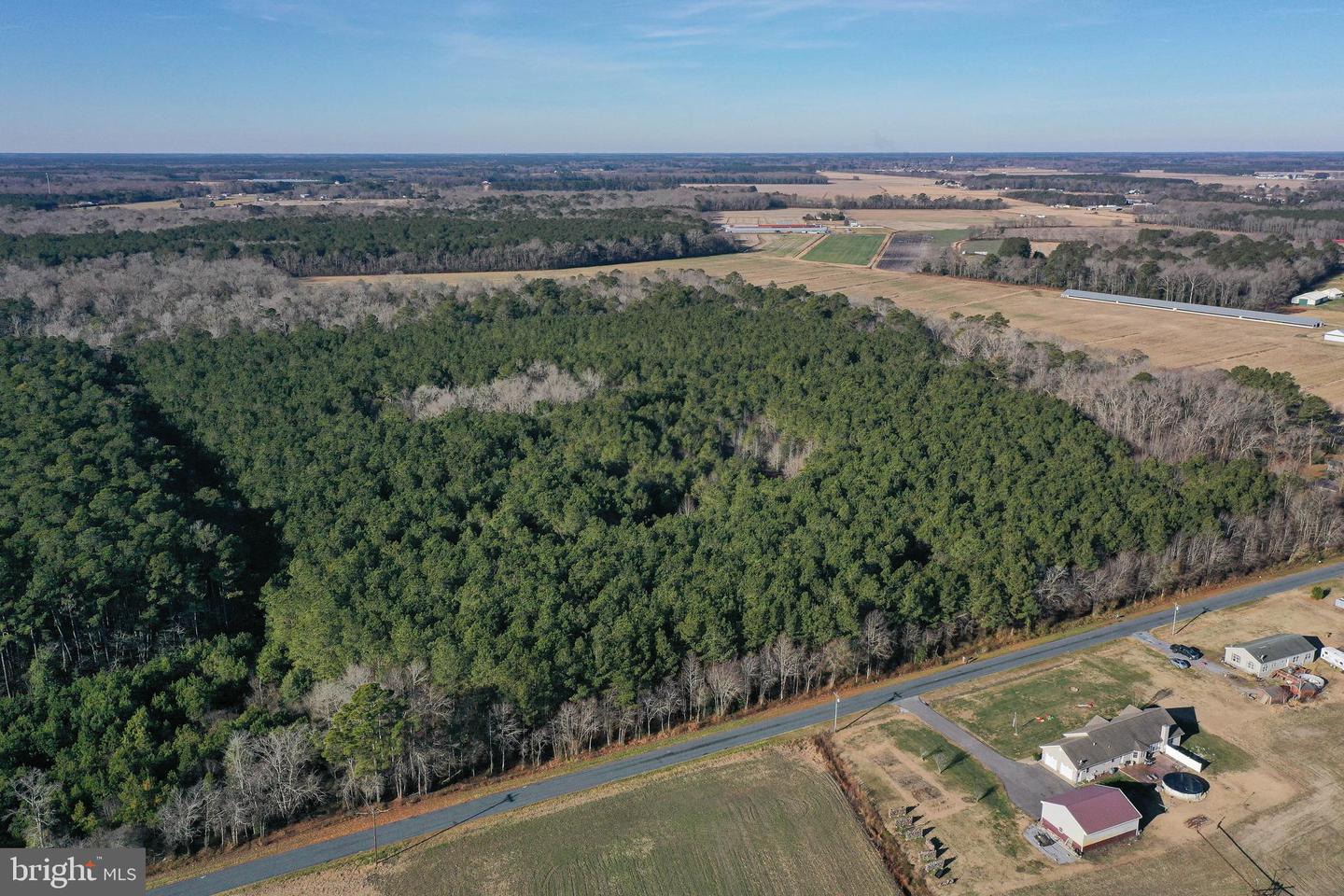 0 Bent Pine Rd Property Photo 3