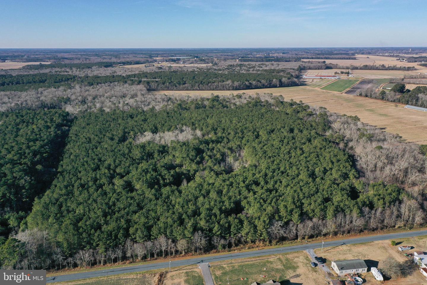 0 Bent Pine Rd Property Photo 4