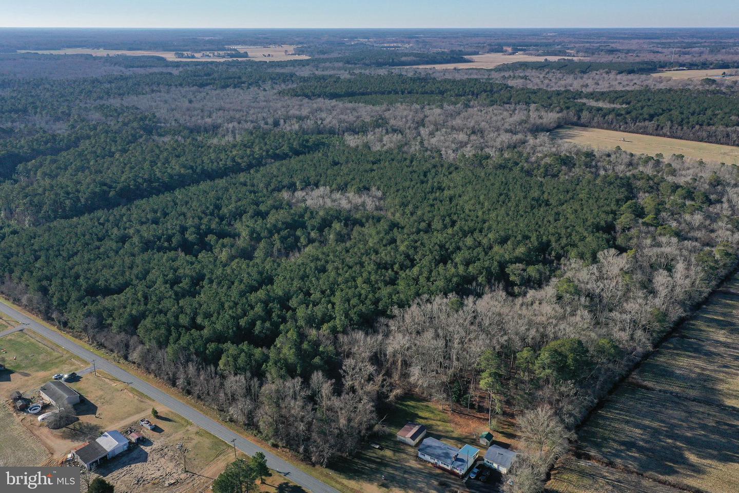 0 Bent Pine Rd Property Photo 6