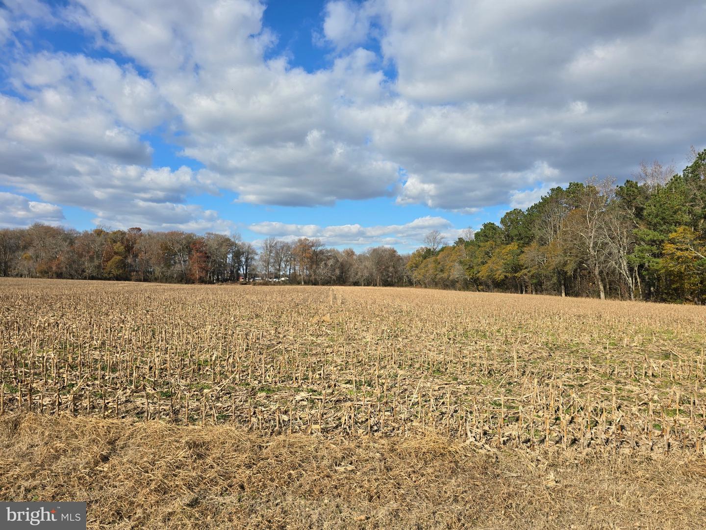 0 Lot 2 Poplar Neck Rd Property Photo 1