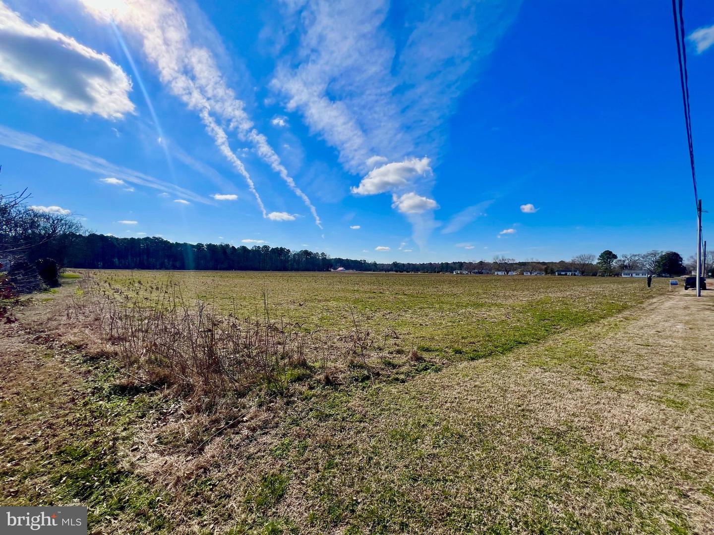0 LEVIN DASHIELL RD