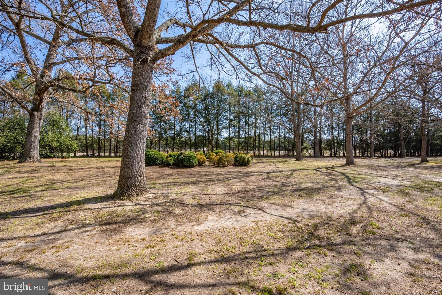 27980 Pemberton Property Photo 81