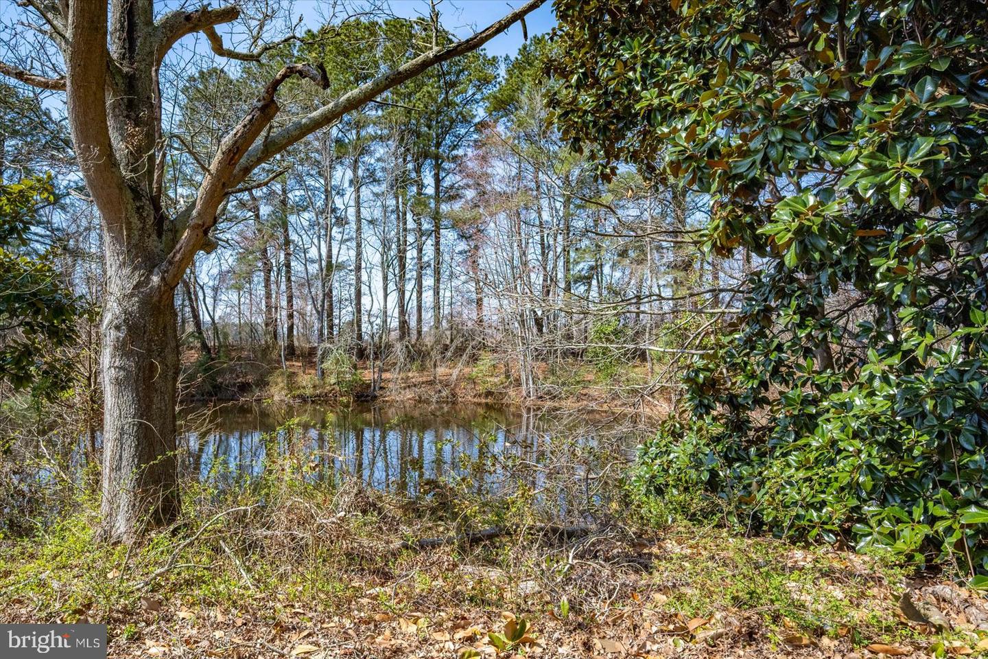 27980 Pemberton Property Photo 88
