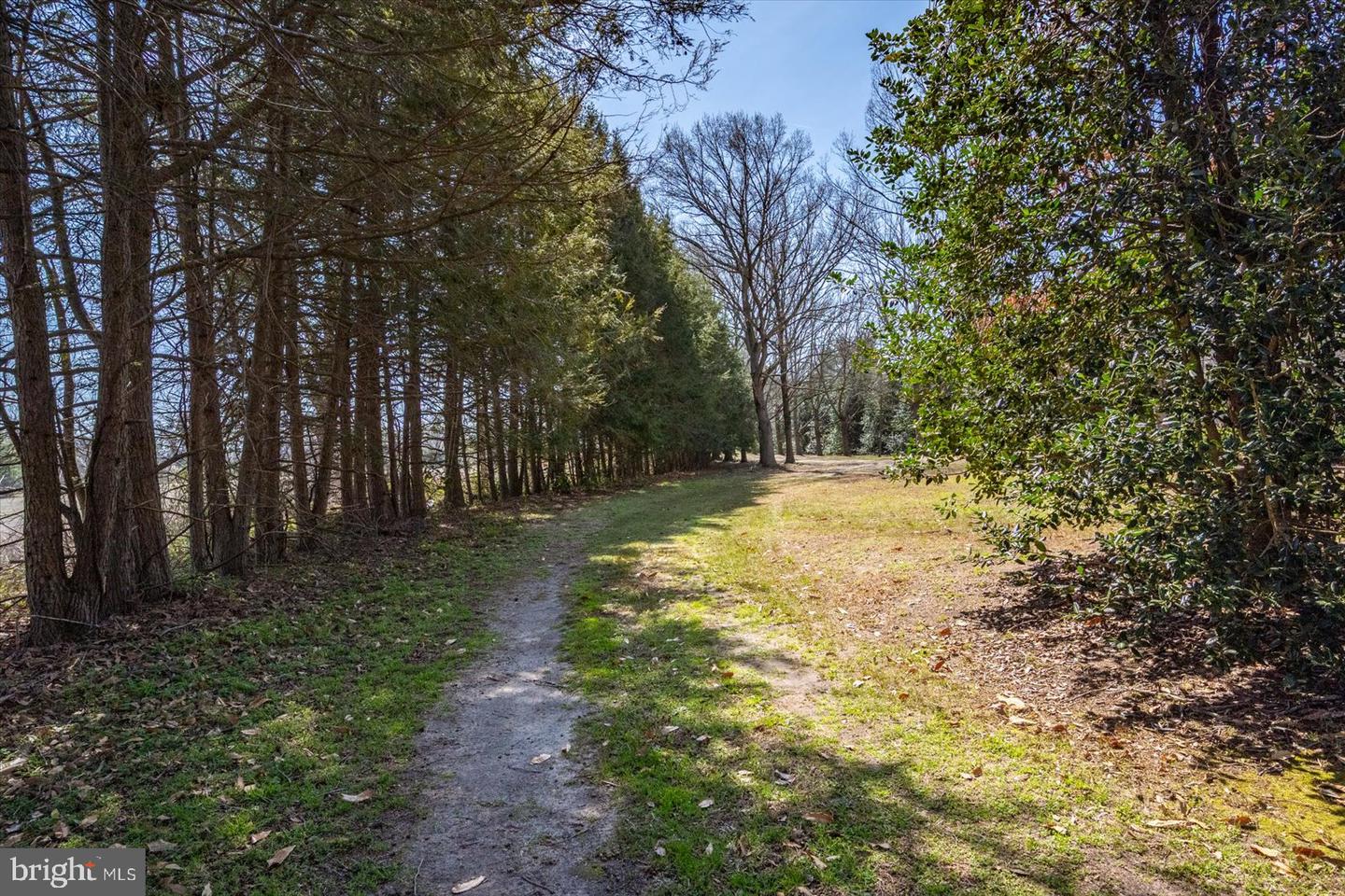 27980 Pemberton Property Photo 100