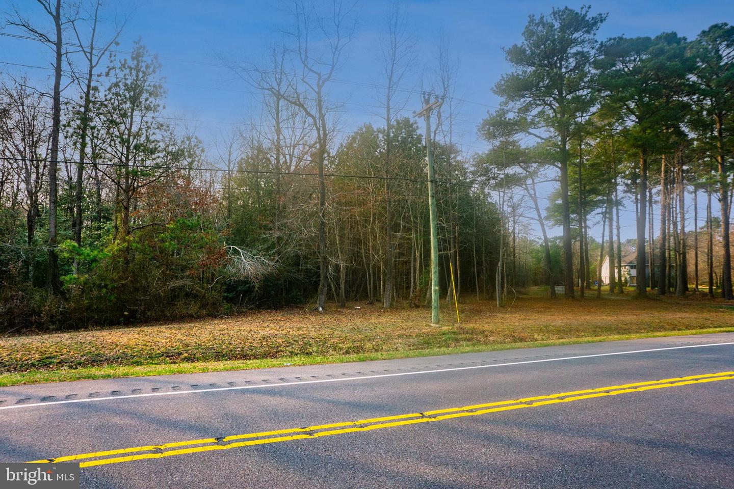 0 Sharptown Rd Property Photo 2
