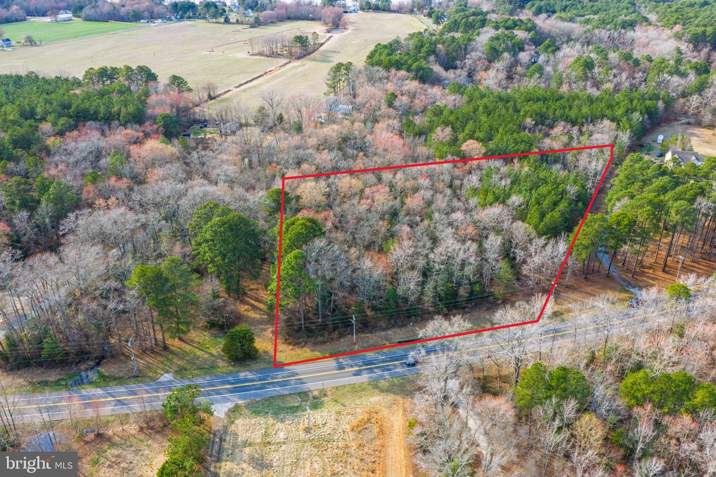 0 Sharptown Rd Property Photo 5