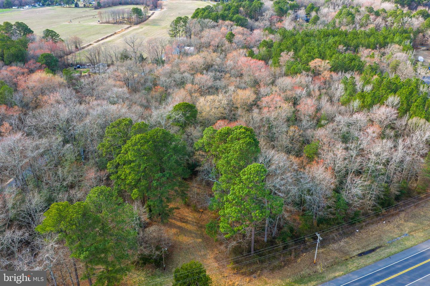 0 Sharptown Rd Property Photo 8