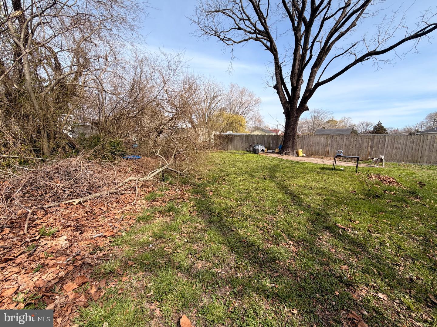 5 W Chestnut St Property Photo 28