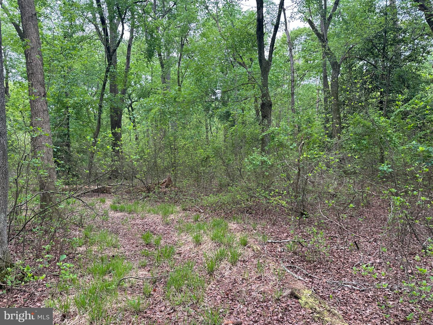 28403 Old Eden Rd Property Photo 7