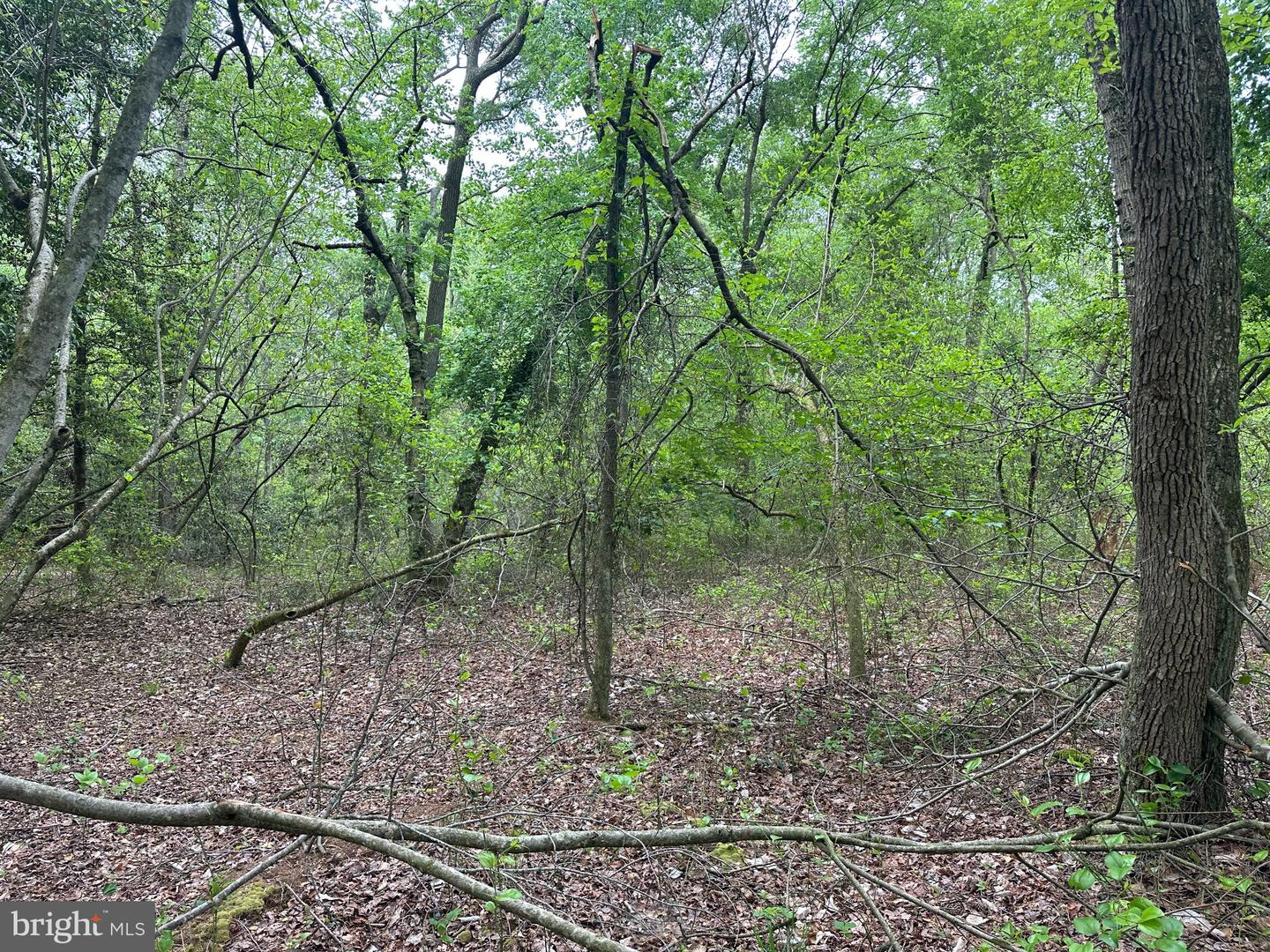 28403 Old Eden Rd Property Photo 8