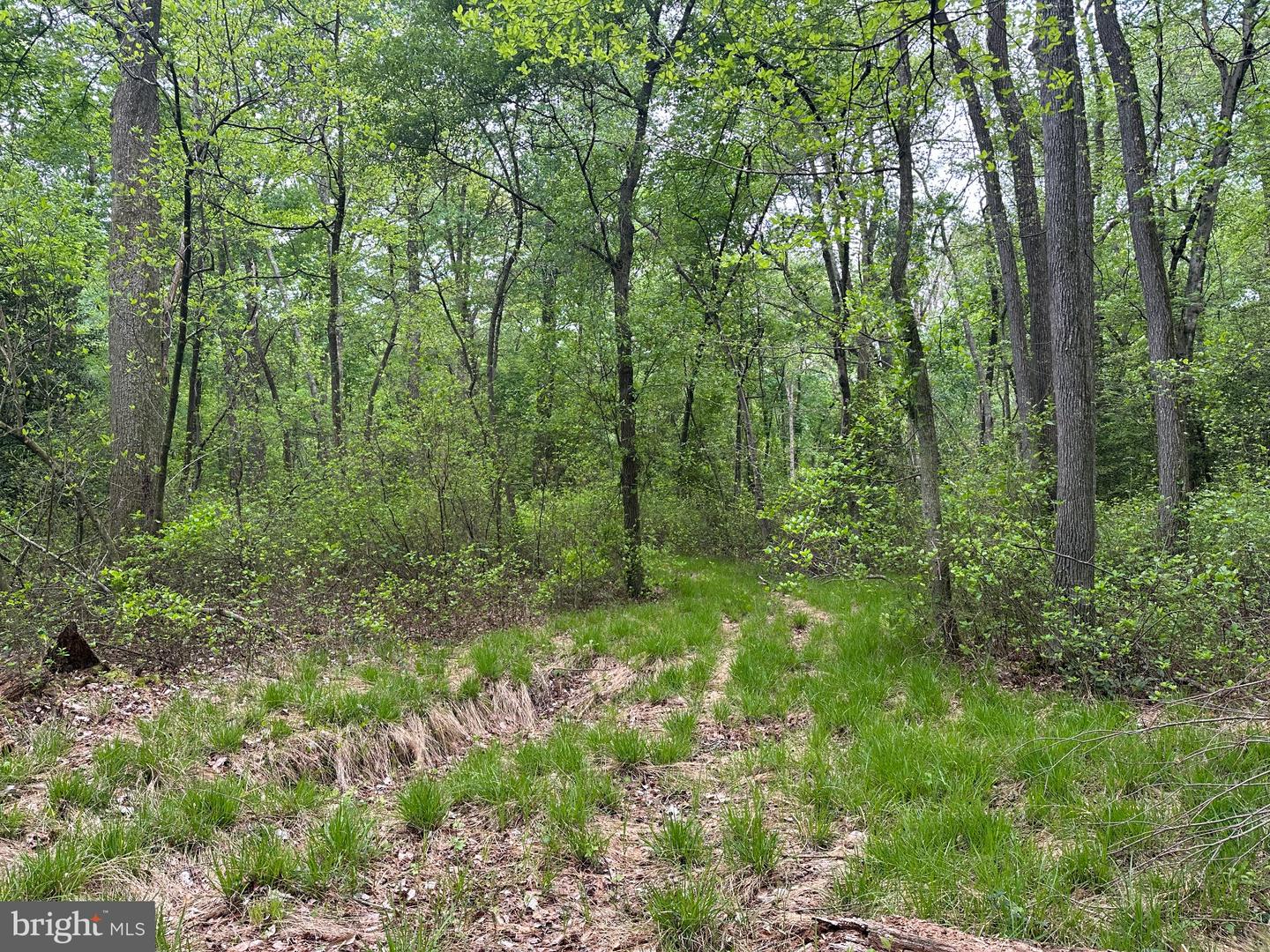 28403 Old Eden Rd Property Photo 9