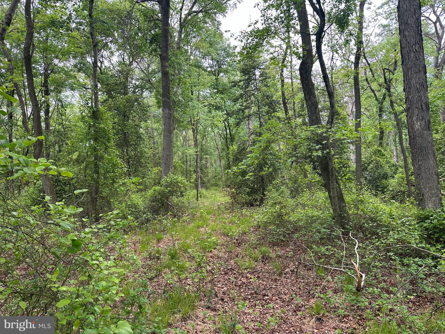 28403 Old Eden Rd Property Photo 10