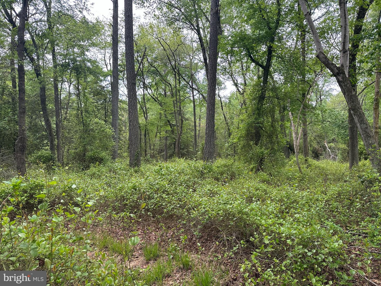 28403 Old Eden Rd Property Photo 11
