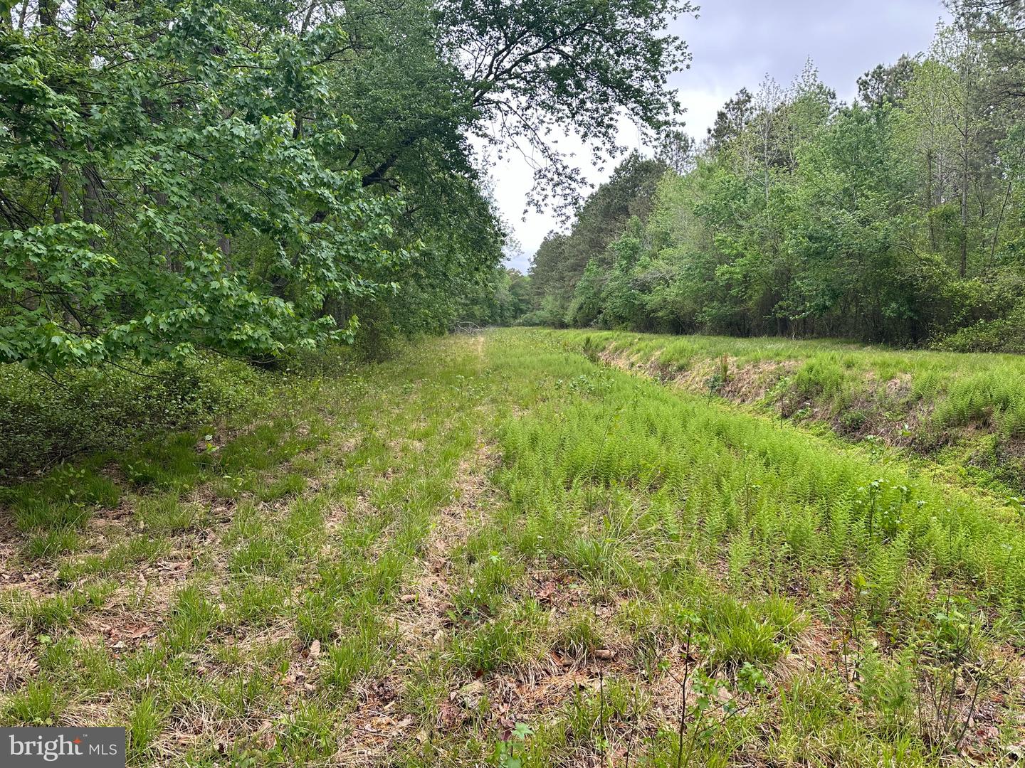 28403 Old Eden Rd Property Photo 12
