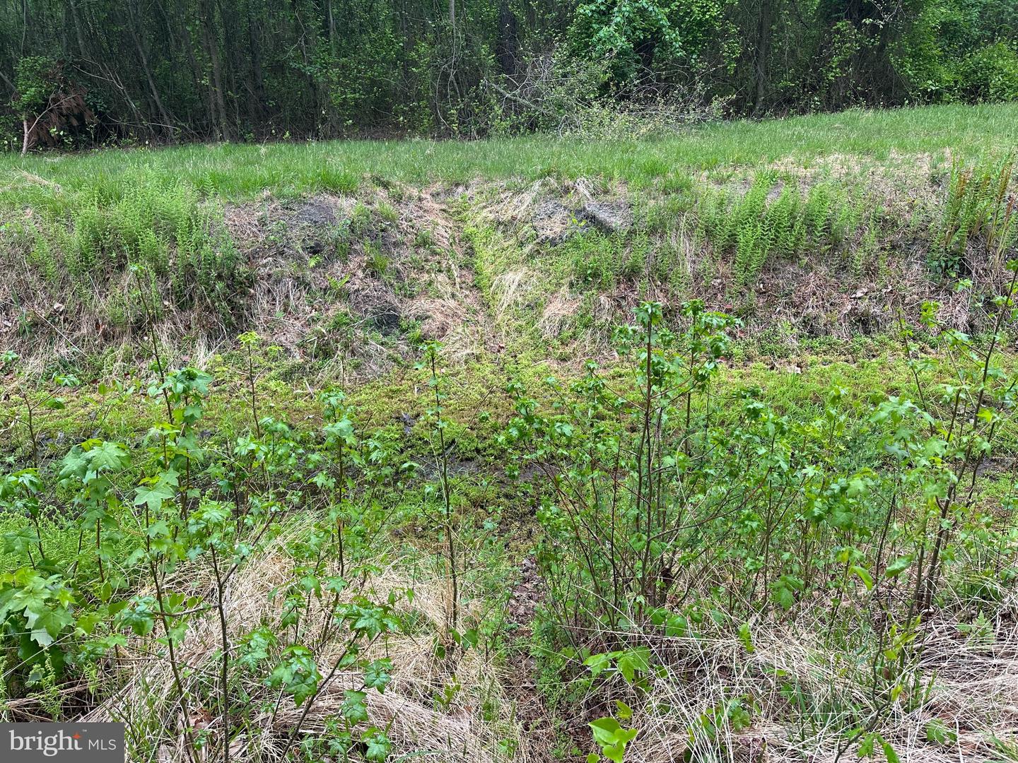 28403 Old Eden Rd Property Photo 13