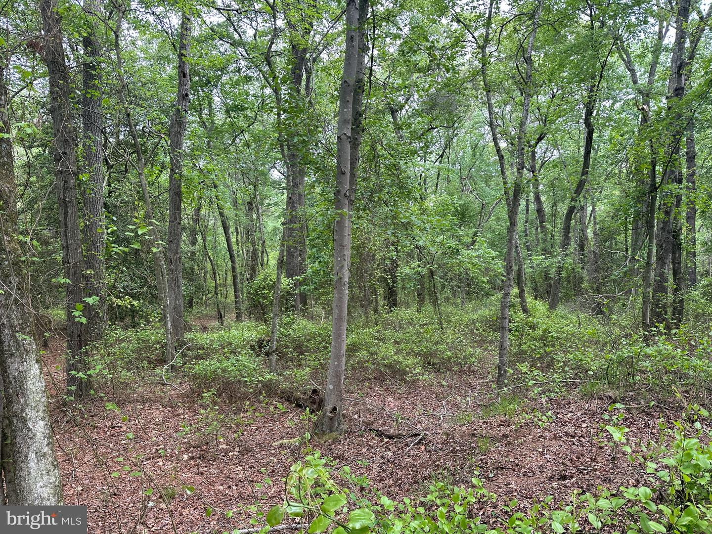 28403 Old Eden Rd Property Photo 16