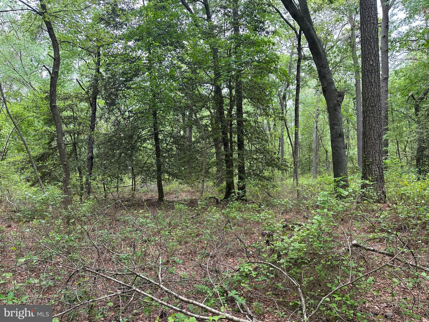 28403 Old Eden Rd Property Photo 18