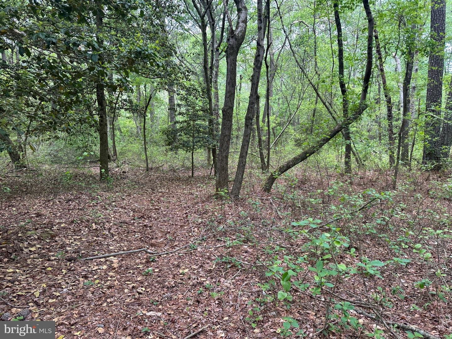 28403 Old Eden Rd Property Photo 19