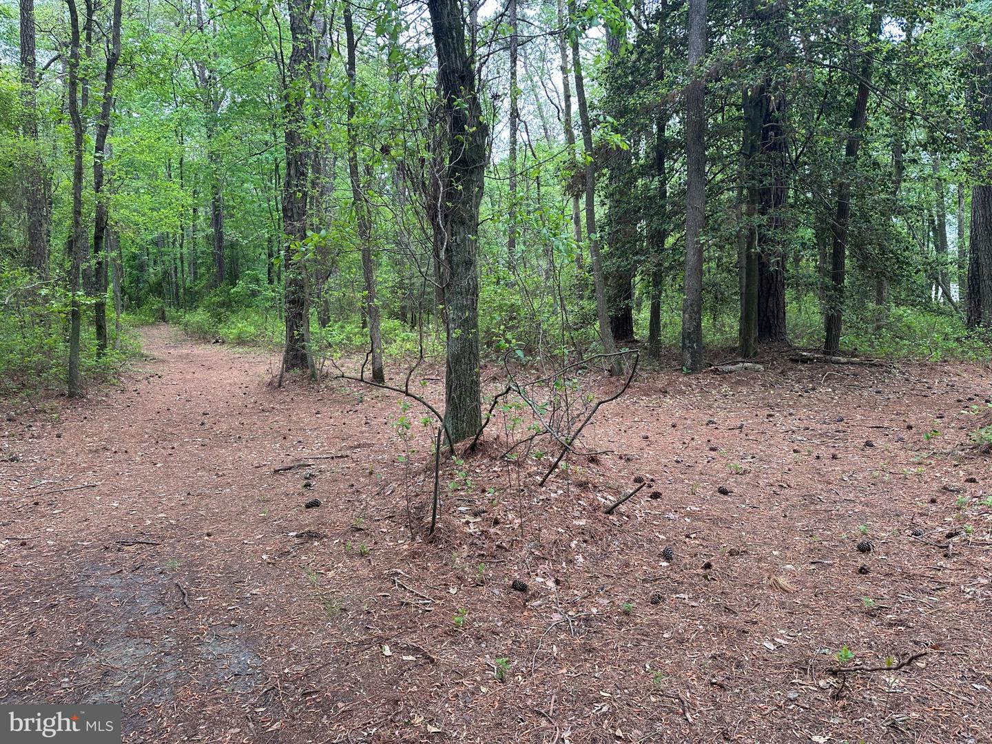 28403 Old Eden Rd Property Photo 22