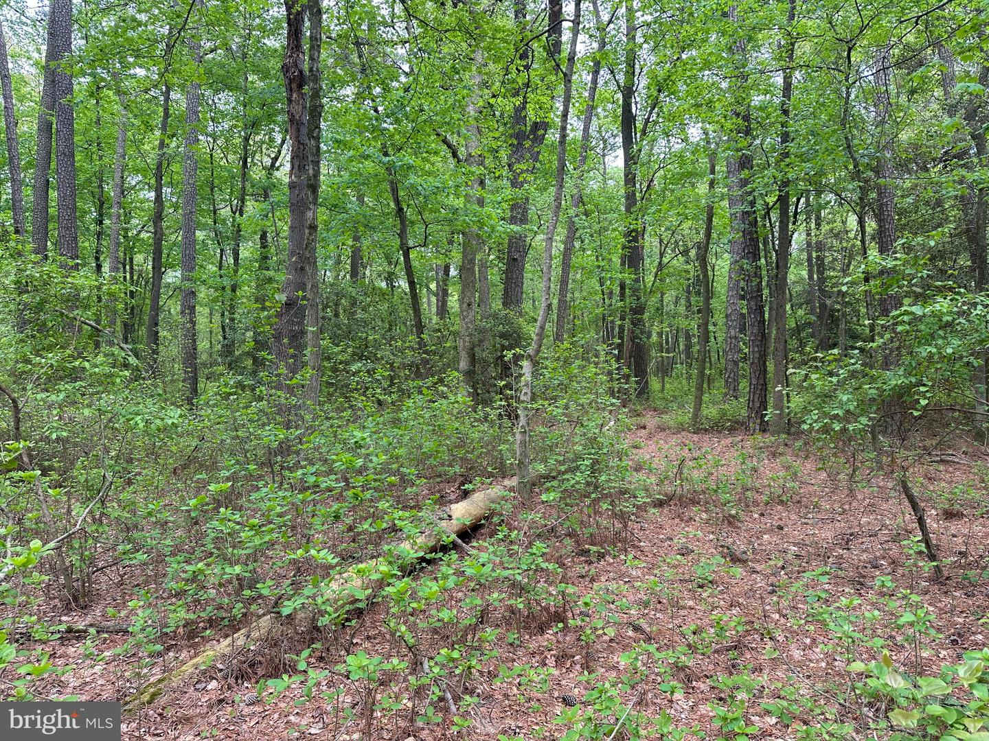 28403 Old Eden Rd Property Photo 23