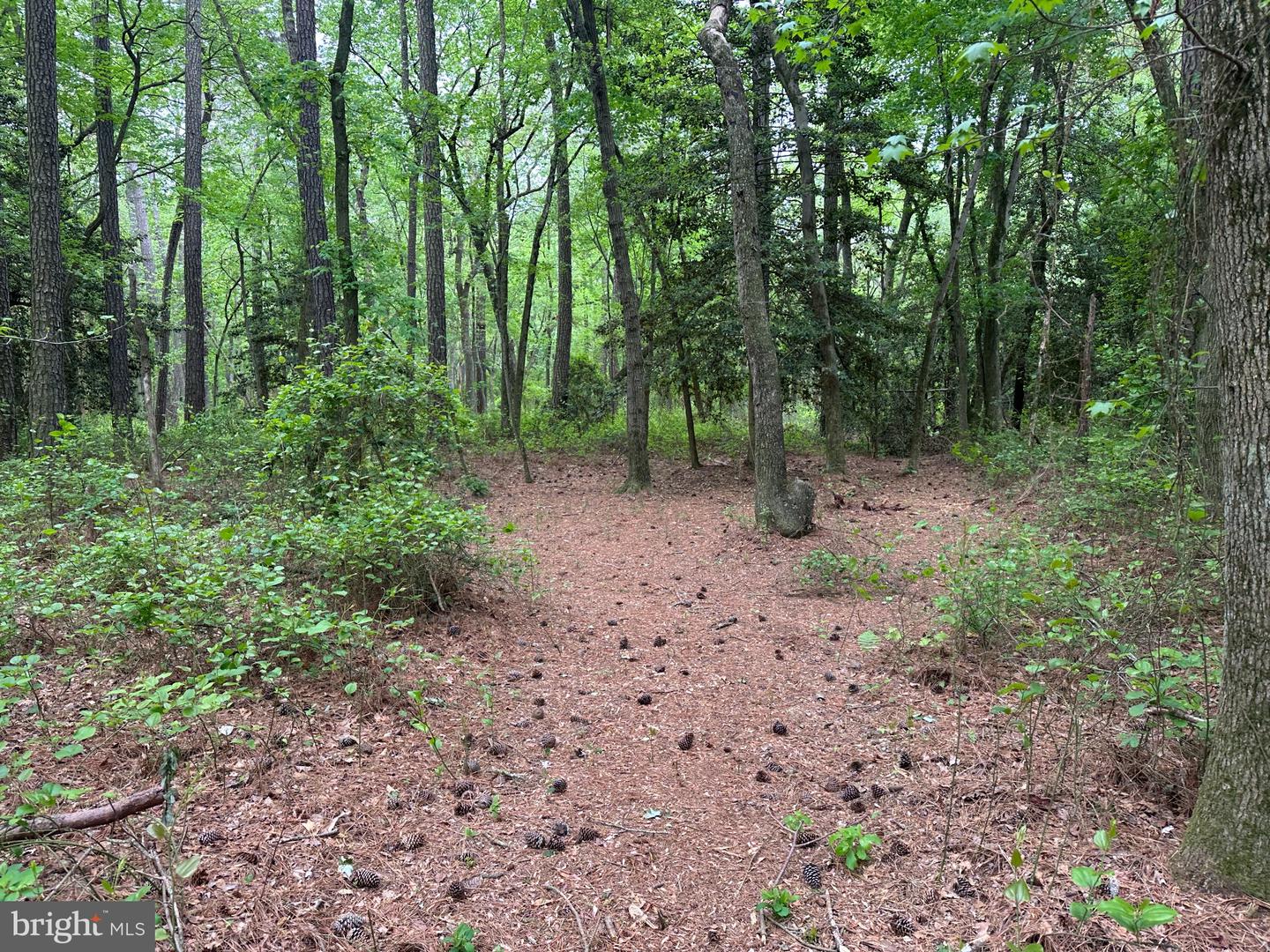 28403 Old Eden Rd Property Photo 24