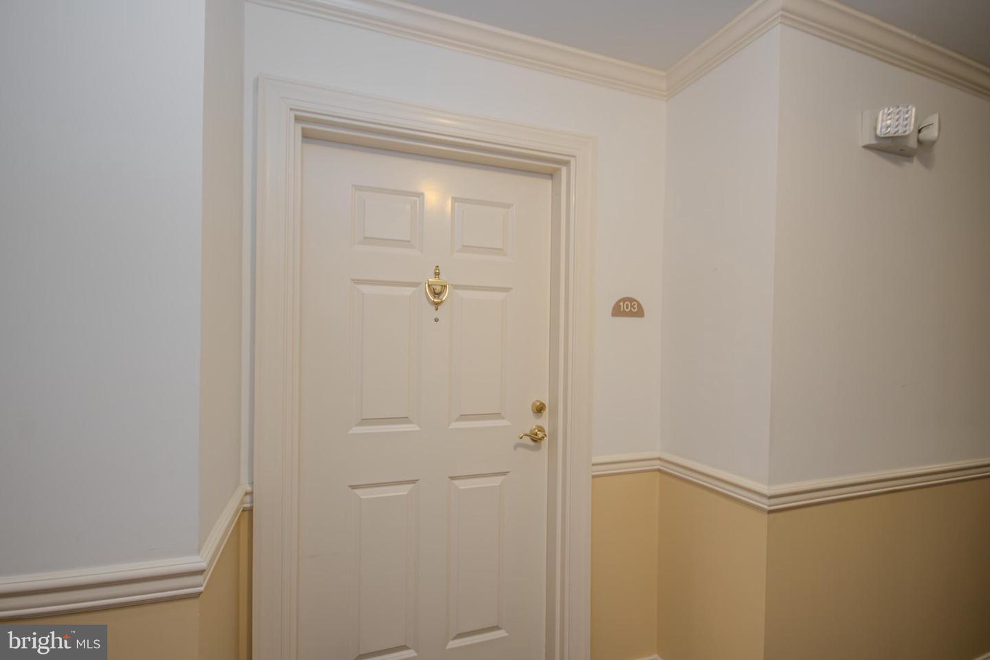 1101 S Schumaker Dr #103 Property Photo 2