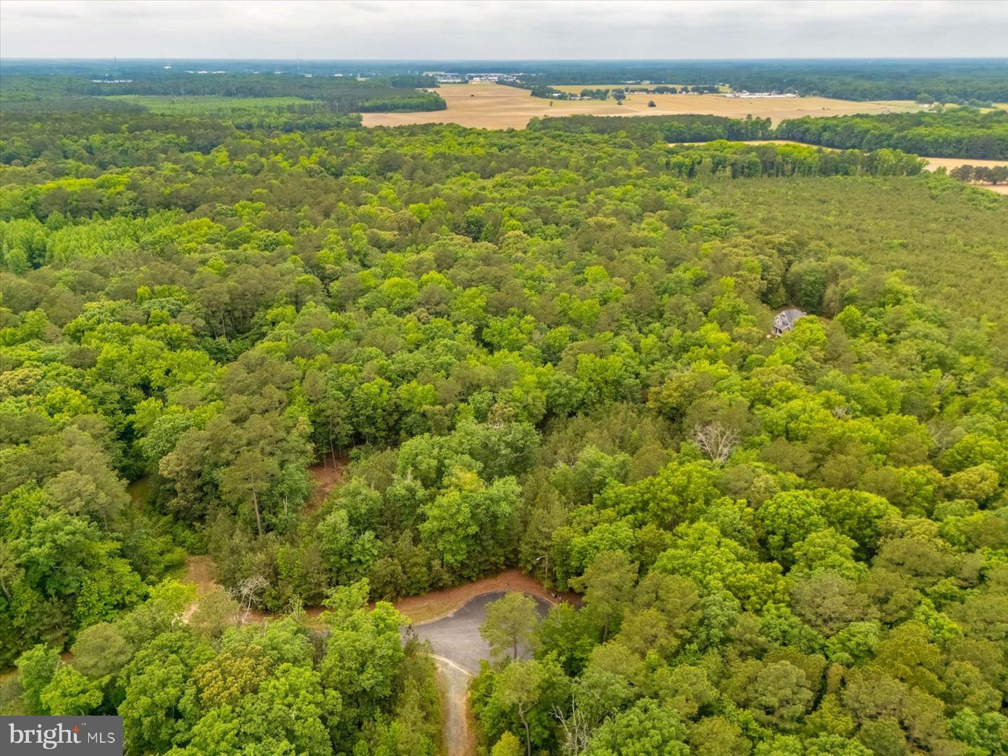 Pristine Pl #16aa Property Photo 7