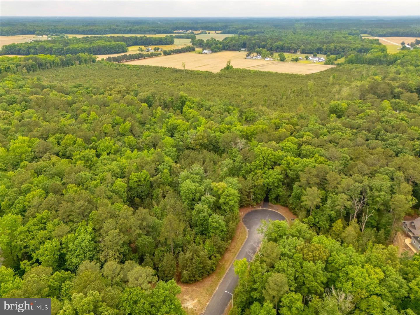 Pristine Pl #16aa Property Photo 9