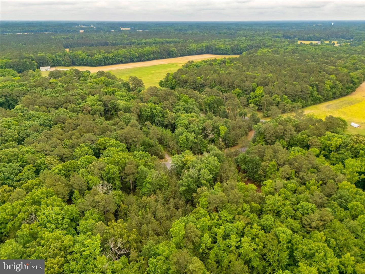 Pristine Pl #16aa Property Photo 10