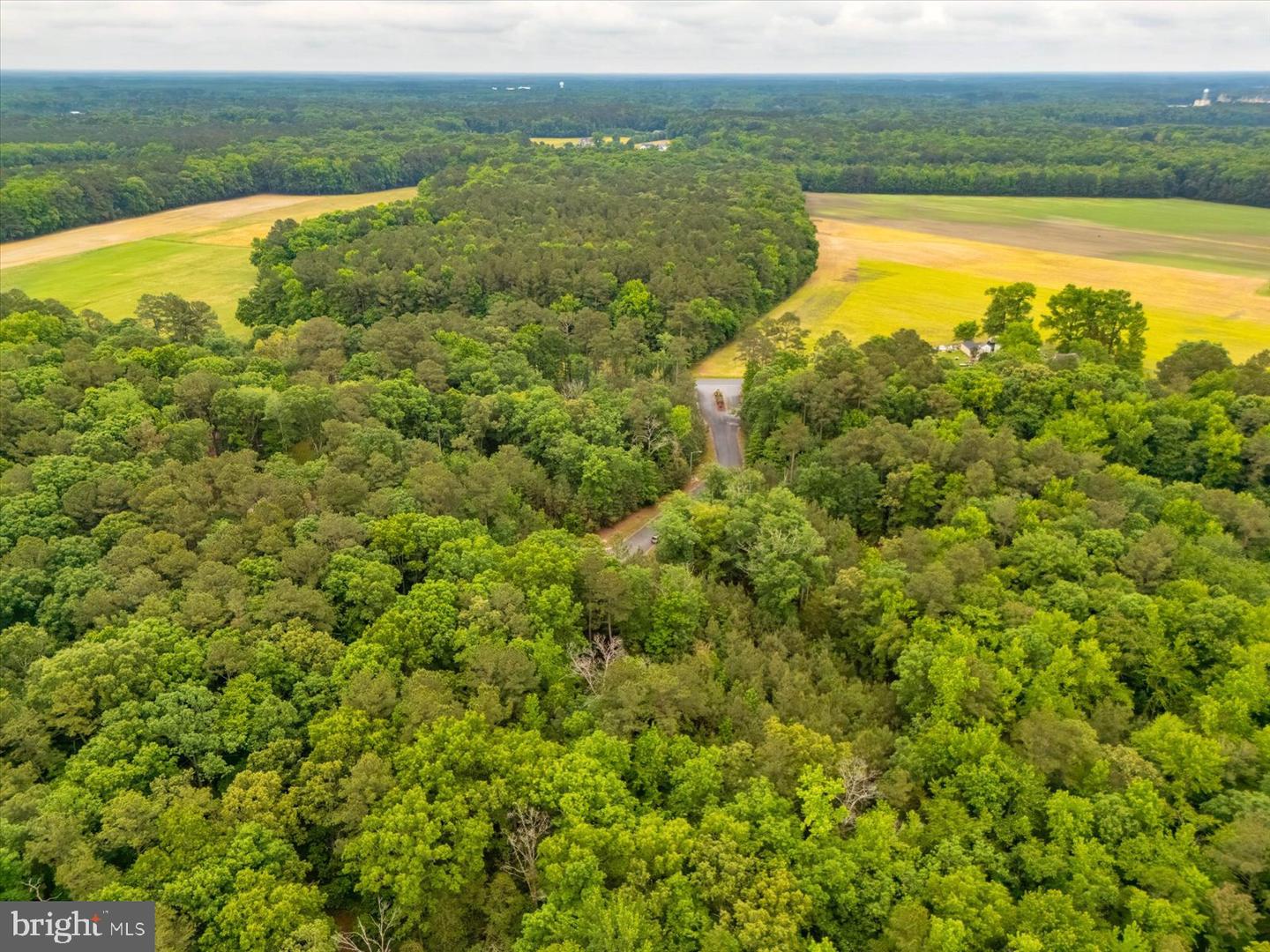 Pristine Pl #16aa Property Photo 11